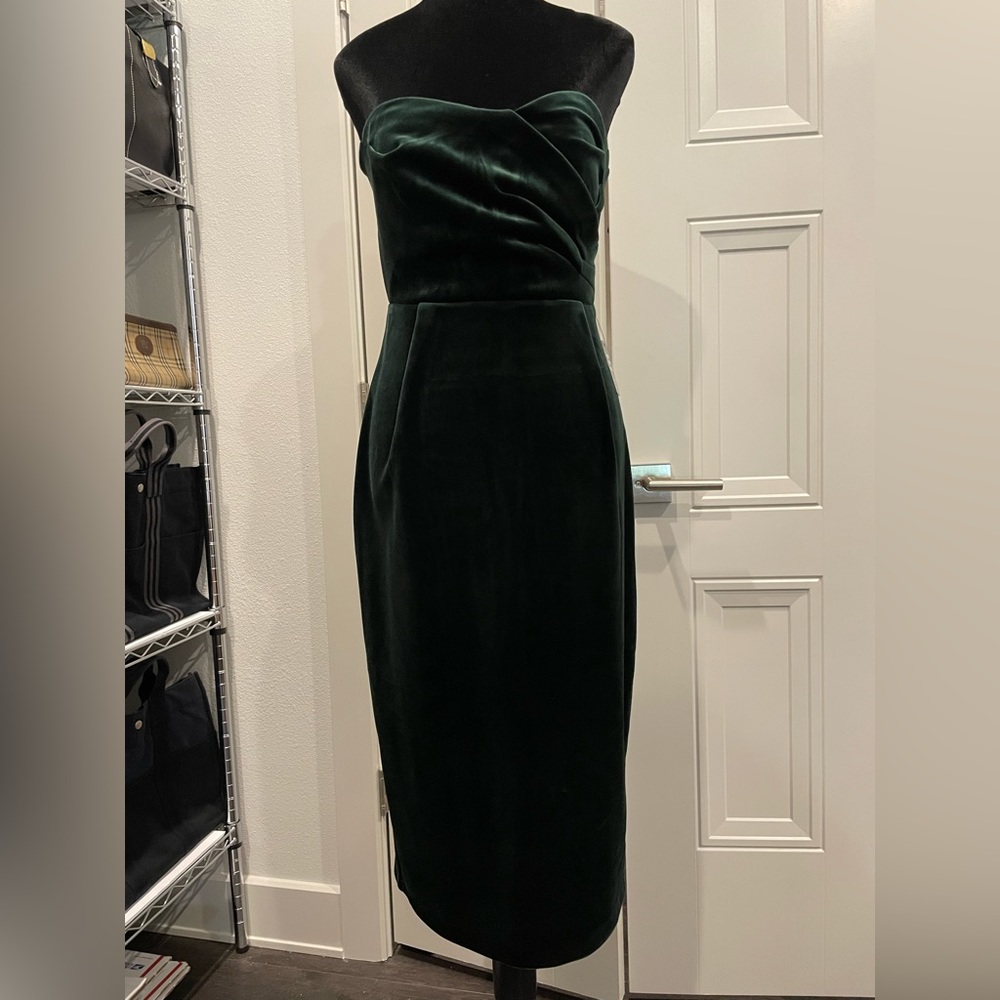 NWT Express Velvet Strapless Dress (Maroon, Black, Green)